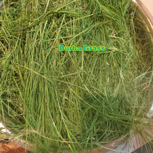 Durba Grass